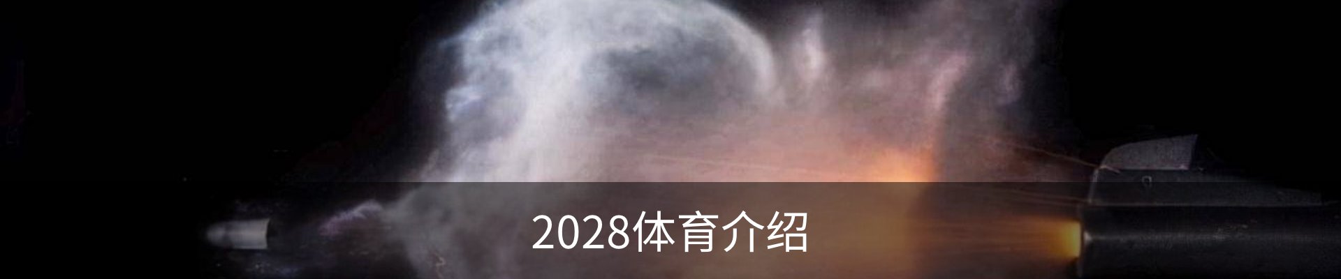 2028体育介绍